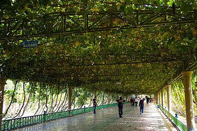 《使命召唤》将来所有的游戏都采用同一引擎开发